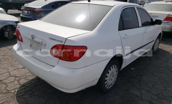 Buy New Toyota Corolla White Car in Badagry in Lagos State Buy New Toyota Corolla White Car in Badagry in Lagos State