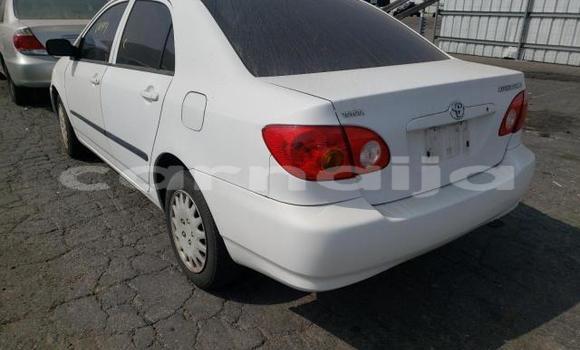 Buy New Toyota Corolla White Car in Badagry in Lagos State Buy New Toyota Corolla White Car in Badagry in Lagos State