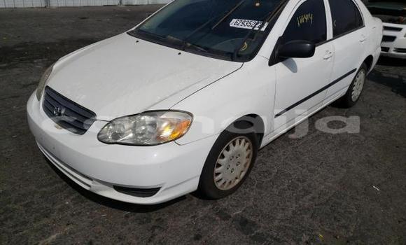 Buy New Toyota Corolla White Car in Badagry in Lagos State Buy New Toyota Corolla White Car in Badagry in Lagos State