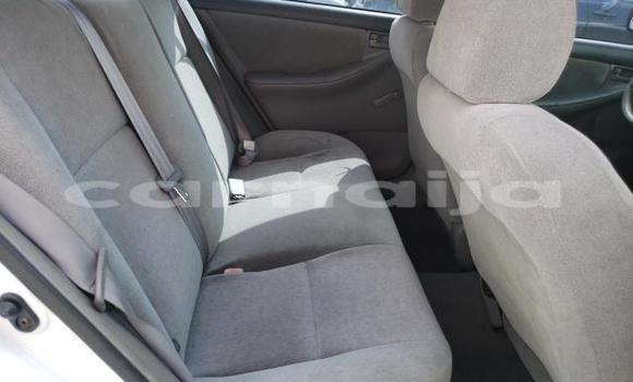 Buy New Toyota Corolla White Car in Badagry in Lagos State Buy New Toyota Corolla White Car in Badagry in Lagos State