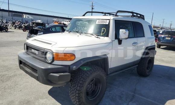 Acheter Neuf Voiture Toyota FJ Cruiser Blanc à Badagry, État de Lagos Acheter Neuf Voiture Toyota FJ Cruiser Blanc à Badagry, État de Lagos