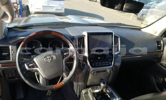 Buy New Toyota Land Cruiser Black Car in Badagry in Lagos State Buy New Toyota Land Cruiser Black Car in Badagry in Lagos State