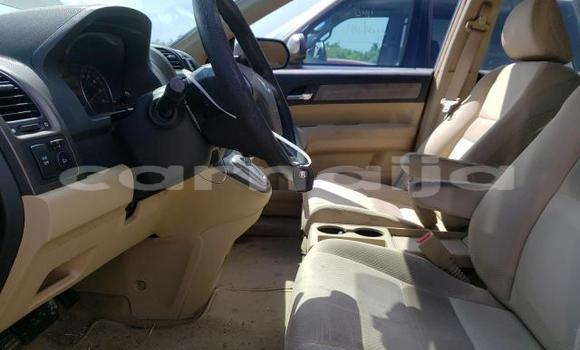 Acheter Occasion Voiture Honda CR–V Autre à Lagos, État de Lagos Acheter Occasion Voiture Honda CR–V Autre à Lagos, État de Lagos