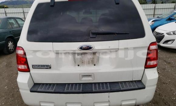 Buy Import Ford Escape Other Car in Lagos in Lagos State Buy Import Ford Escape Other Car in Lagos in Lagos State