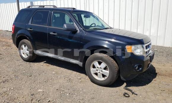 Buy New Ford Escape Black Car in Badagry in Lagos State Buy New Ford Escape Black Car in Badagry in Lagos State