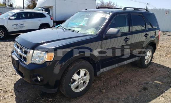 Buy New Ford Escape Black Car in Badagry in Lagos State Buy New Ford Escape Black Car in Badagry in Lagos State