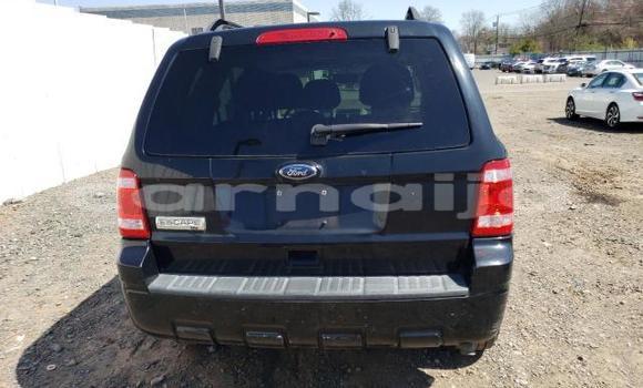 Buy New Ford Escape Black Car in Badagry in Lagos State Buy New Ford Escape Black Car in Badagry in Lagos State