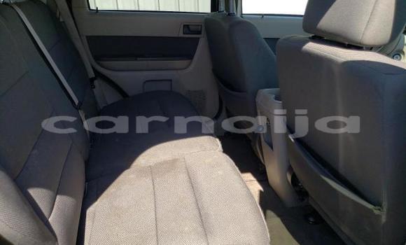 Buy New Ford Escape Black Car in Badagry in Lagos State Buy New Ford Escape Black Car in Badagry in Lagos State