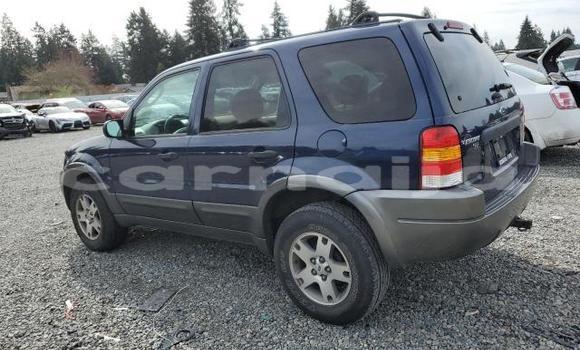 Buy New Ford Escape Blue Car in Badagry in Lagos State Buy New Ford Escape Blue Car in Badagry in Lagos State