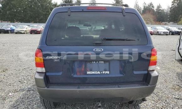 Buy New Ford Escape Blue Car in Badagry in Lagos State Buy New Ford Escape Blue Car in Badagry in Lagos State