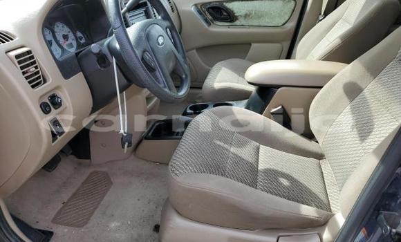 Buy New Ford Escape Blue Car in Badagry in Lagos State Buy New Ford Escape Blue Car in Badagry in Lagos State