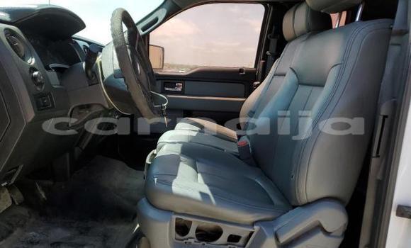 Buy New Ford F–150 White Car in Badagry in Lagos State Buy New Ford F–150 White Car in Badagry in Lagos State