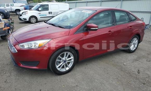 Acheter Neuf Voiture Ford Focus Rouge à Badagry, État de Lagos Acheter Neuf Voiture Ford Focus Rouge à Badagry, État de Lagos