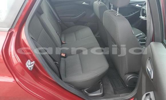 Acheter Neuf Voiture Ford Focus Rouge à Badagry, État de Lagos Acheter Neuf Voiture Ford Focus Rouge à Badagry, État de Lagos