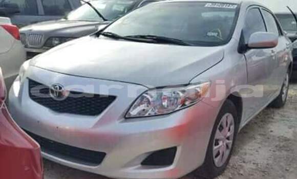 Acheter Import Voiture Toyota Corolla Gris à Daura, Katsina Acheter Import Voiture Toyota Corolla Gris à Daura, Katsina