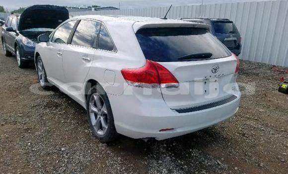 Buy Import Toyota Venza White Car in Daura in Katsina Buy Import Toyota Venza White Car in Daura in Katsina
