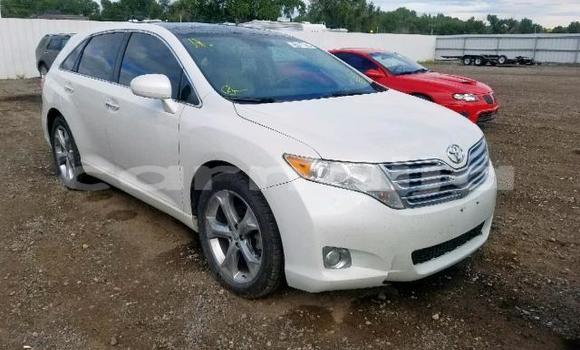Buy Import Toyota Venza White Car in Daura in Katsina Buy Import Toyota Venza White Car in Daura in Katsina