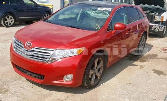 Buy Import Toyota Venza Red Car in Daura in Katsina Buy Import Toyota Venza Red Car in Daura in Katsina