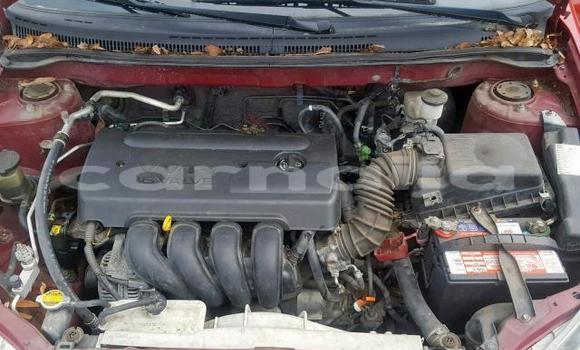 Buy Import Toyota Camry Red Car in Daura in Katsina Buy Import Toyota Camry Red Car in Daura in Katsina