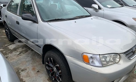 Buy Used Toyota Corolla Other Car in Lagos in Lagos State