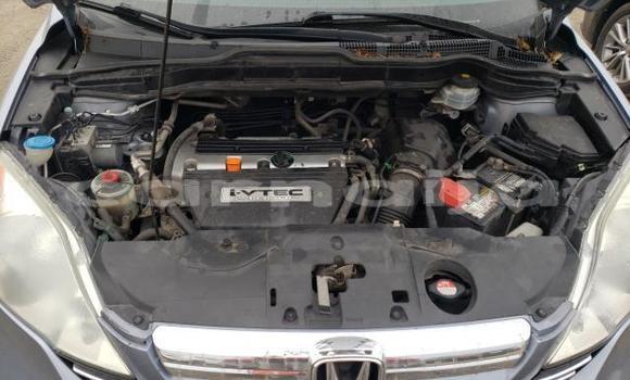 Buy Used Honda CR–V Other Car in Lagos in Lagos State Buy Used Honda CR–V Other Car in Lagos in Lagos State