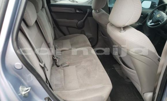 Buy Used Honda CR–V Other Car in Lagos in Lagos State Buy Used Honda CR–V Other Car in Lagos in Lagos State