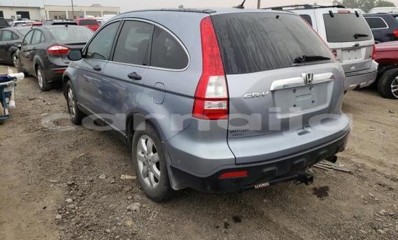 Buy Used Honda CR–V Other Car in Lagos in Lagos State Buy Used Honda CR–V Other Car in Lagos in Lagos State