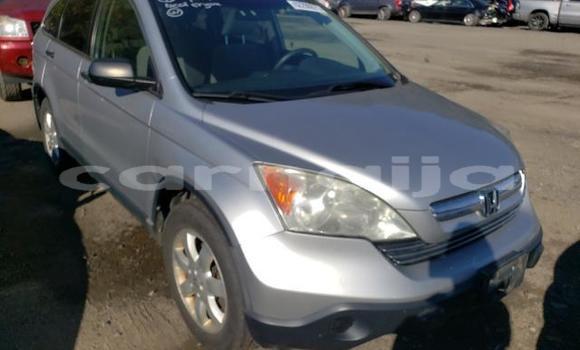 Buy Used Honda CR–V Other Car in Lagos in Lagos State Buy Used Honda CR–V Other Car in Lagos in Lagos State