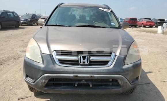 Acheter Import Voiture Honda CR–V Autre à Lagos, État de Lagos Acheter Import Voiture Honda CR–V Autre à Lagos, État de Lagos