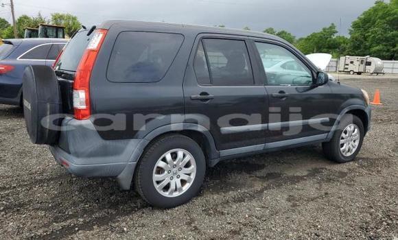 Acheter Import Voiture Honda CR–V Autre à Lagos, État de Lagos Acheter Import Voiture Honda CR–V Autre à Lagos, État de Lagos