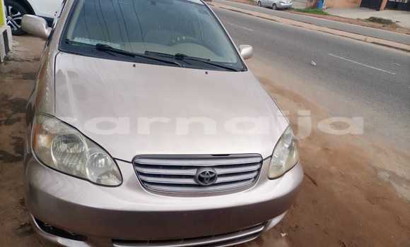 Buy Used Toyota Corolla Other Car in Lagos in Lagos State Buy Used Toyota Corolla Other Car in Lagos in Lagos State