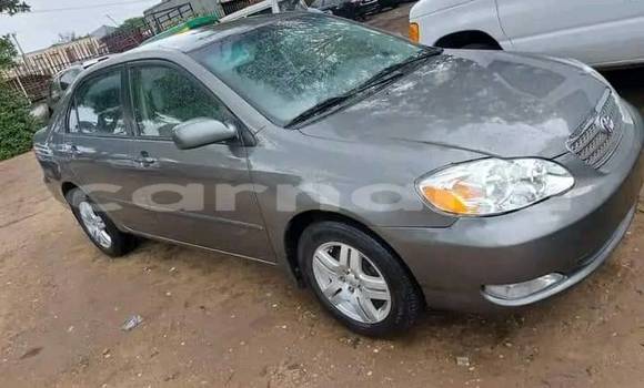 Buy Used Toyota Corolla Other Car in Lagos in Lagos State Buy Used Toyota Corolla Other Car in Lagos in Lagos State