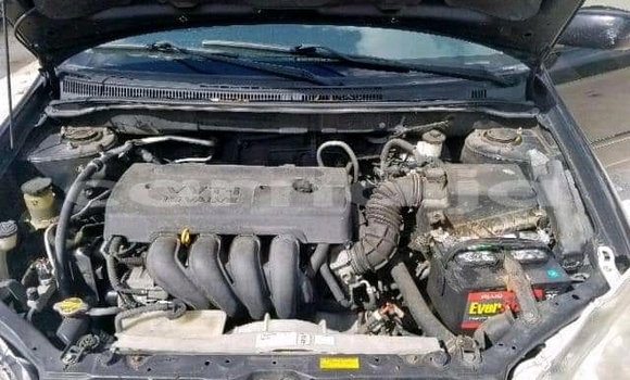 Buy Used Toyota Corolla Black Car in Daura in Katsina Buy Used Toyota Corolla Black Car in Daura in Katsina