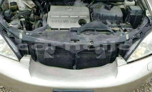 Acheter Import Voiture Lexus RX 330 Autre à Daura, Katsina Acheter Import Voiture Lexus RX 330 Autre à Daura, Katsina