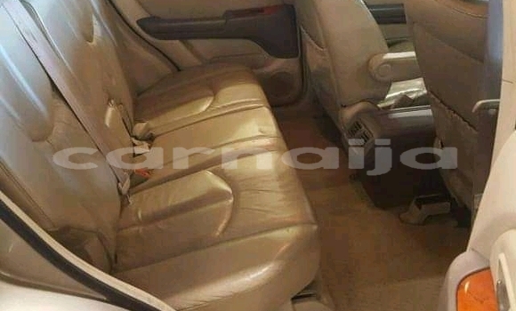 Buy Import Lexus RX 300 Other Car in Daura in Katsina Buy Import Lexus RX 300 Other Car in Daura in Katsina