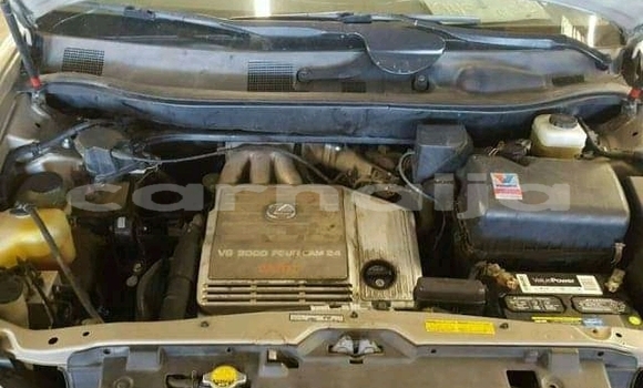 Buy Import Lexus RX 300 Other Car in Daura in Katsina Buy Import Lexus RX 300 Other Car in Daura in Katsina