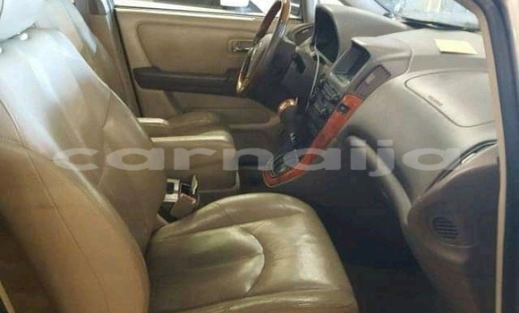 Buy Import Lexus RX 300 Other Car in Daura in Katsina Buy Import Lexus RX 300 Other Car in Daura in Katsina