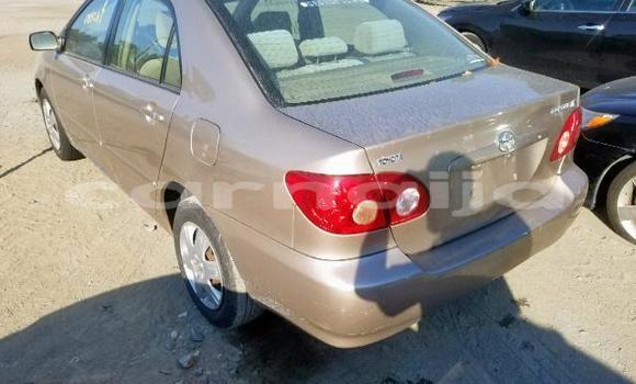Buy Import Toyota Corolla Other Car in Daura in Katsina Buy Import Toyota Corolla Other Car in Daura in Katsina