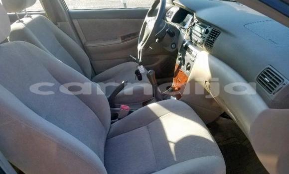 Buy Import Toyota Corolla Other Car in Daura in Katsina Buy Import Toyota Corolla Other Car in Daura in Katsina