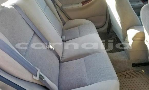 Buy Import Toyota Corolla Other Car in Daura in Katsina Buy Import Toyota Corolla Other Car in Daura in Katsina