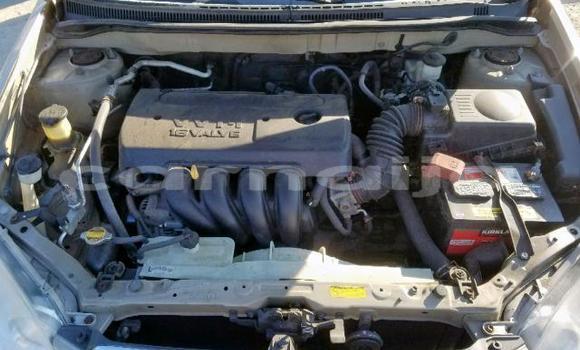 Buy Import Toyota Corolla Other Car in Daura in Katsina Buy Import Toyota Corolla Other Car in Daura in Katsina