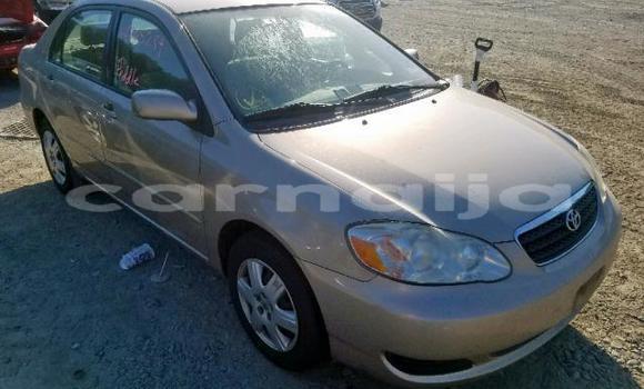 Buy Import Toyota Corolla Other Car in Daura in Katsina Buy Import Toyota Corolla Other Car in Daura in Katsina