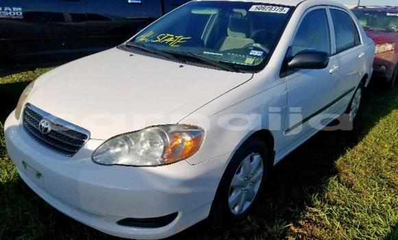 Buy Import Toyota Corolla White Car in Daura in Katsina Buy Import Toyota Corolla White Car in Daura in Katsina