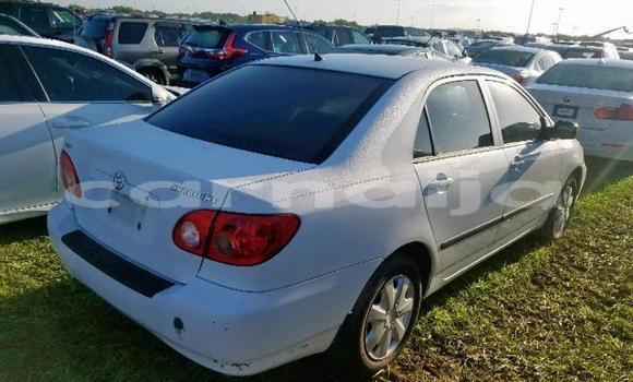 Buy Import Toyota Corolla White Car in Daura in Katsina Buy Import Toyota Corolla White Car in Daura in Katsina