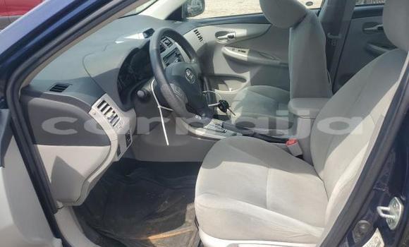 Buy Used Toyota Corolla Blue Car in Lagos in Lagos State Buy Used Toyota Corolla Blue Car in Lagos in Lagos State