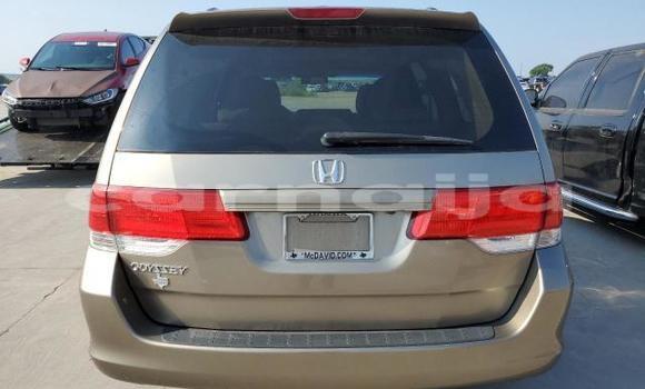 Buy Used Honda Odyssey Other Car in Lagos in Lagos State