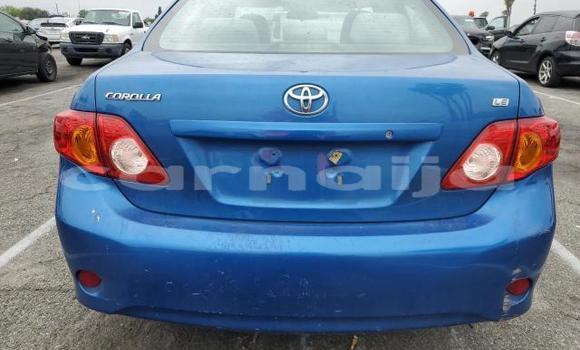 Buy Used Toyota Corolla Other Car in Lagos in Lagos State