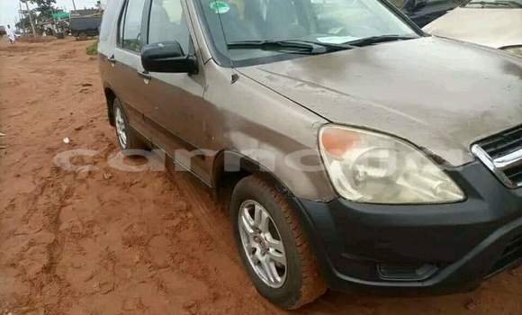 Buy Used Honda CR–V Other Car in Abuja in Lagos State