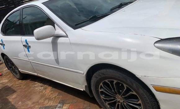 Buy Used Lexus ES 300 White Car in Abuja in Lagos State Buy Used Lexus ES 300 White Car in Abuja in Lagos State