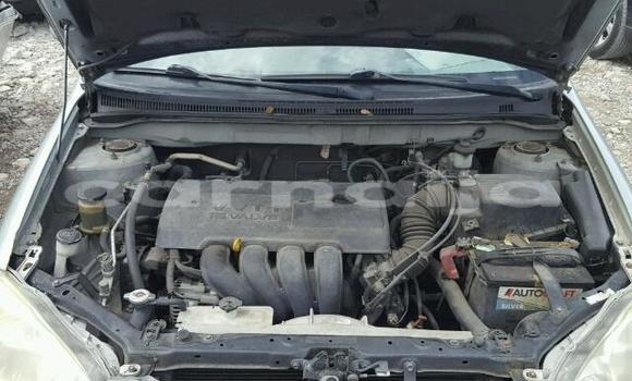 Buy Import Toyota Corolla Silver Car in Daura in Katsina Buy Import Toyota Corolla Silver Car in Daura in Katsina